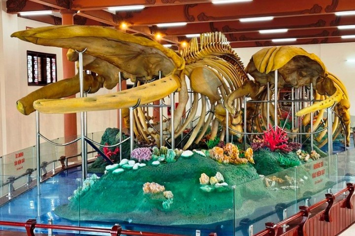 Whale Skeleton Exhibition House