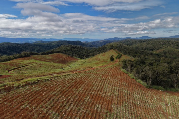 Mang Den Grass Hill