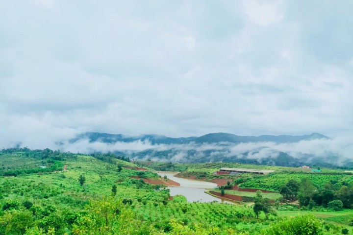 Orfarm Mang Den