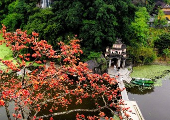 Immersion au delta du Mékong Immersion au delta du Mékong - TMCDC003