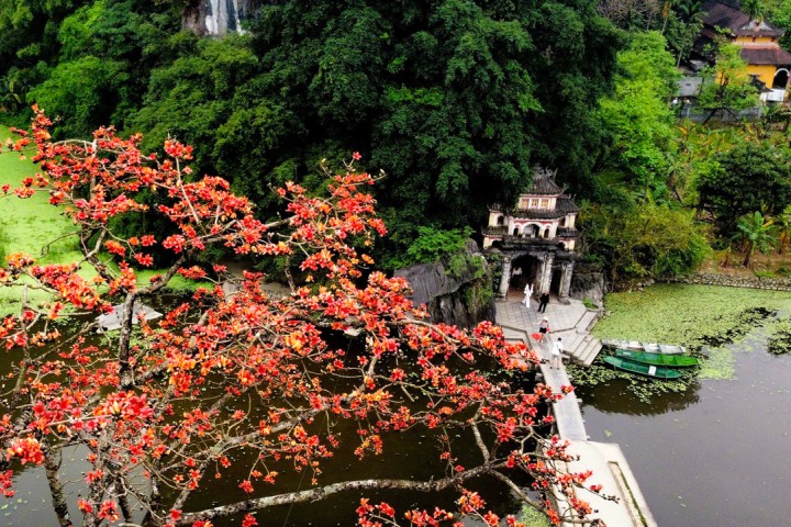 Immersion au delta du Mékong Immersion au delta du Mékong - TMCDC003