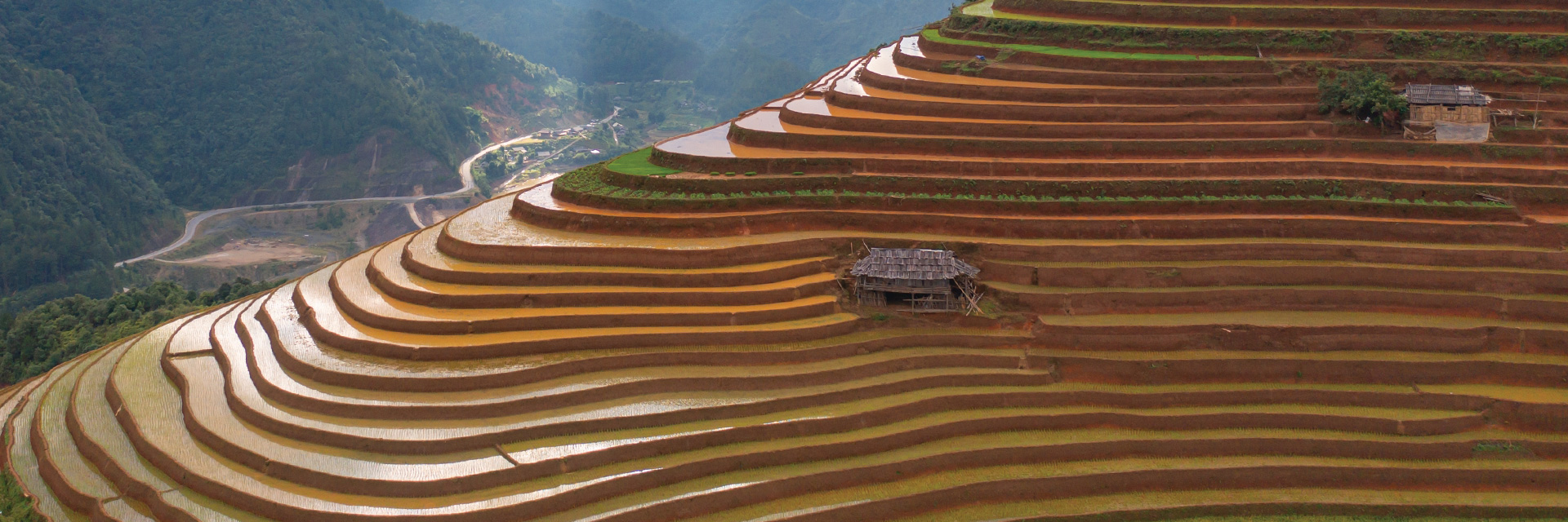 Immersion au delta du Mékong Immersion au delta du Mékong - TMCDC003