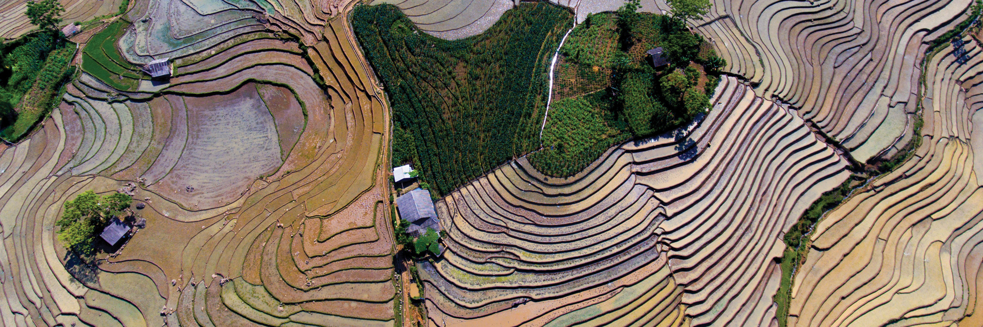 Echappée belle et randonnée dans les rizières en terasse de Sapa