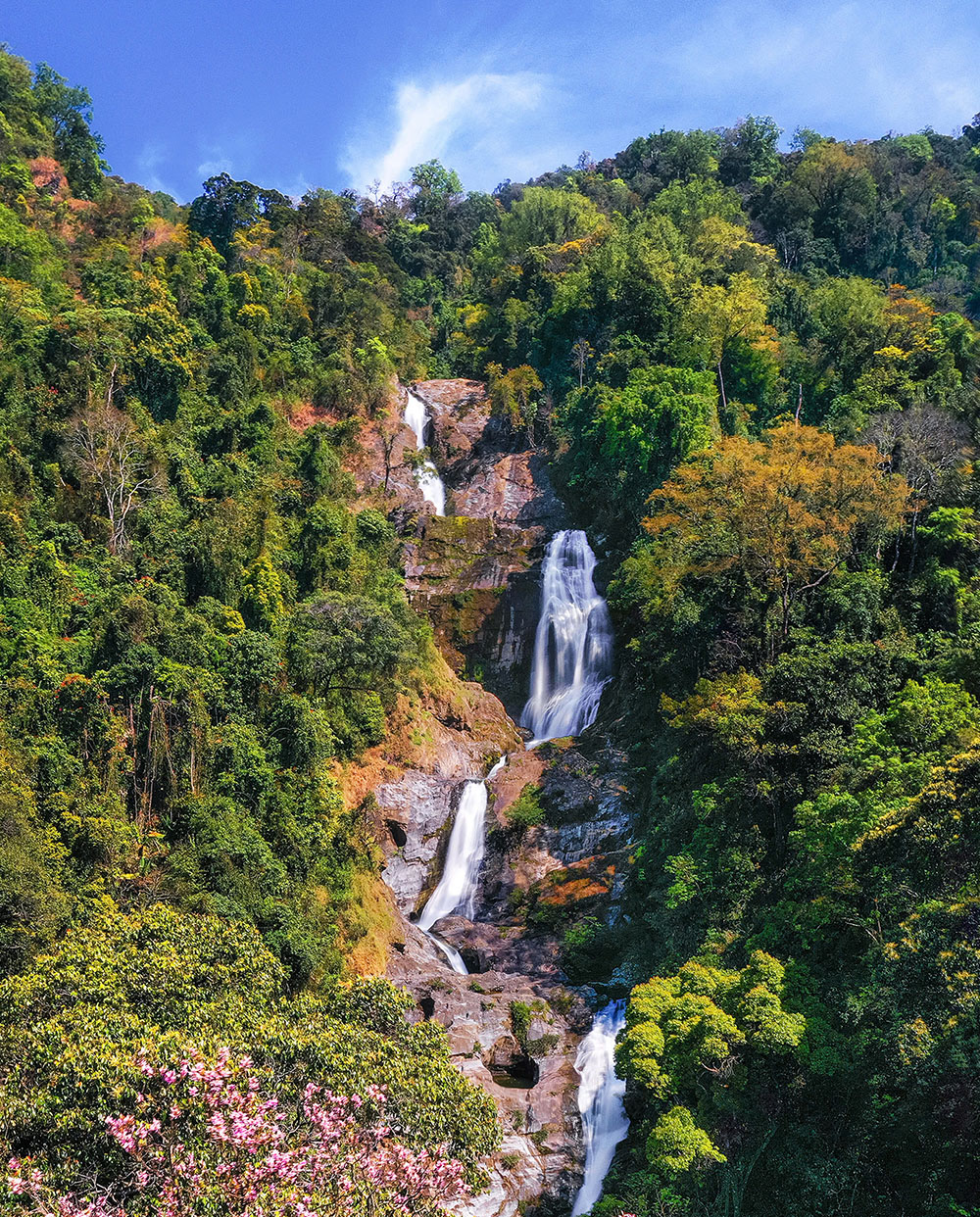 Giới thiêu trang chủ